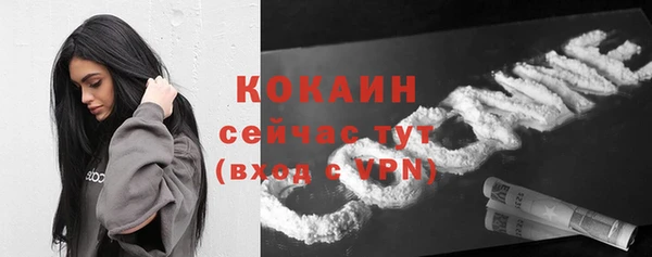 мдпв Лихославль
