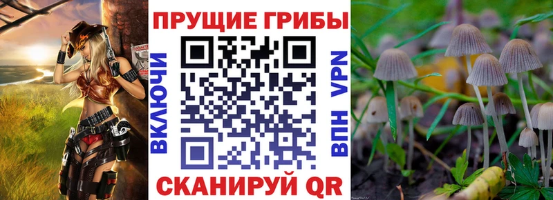 Купить закладки  Миллерово  Псилоцибиновые грибы прущие грибы 