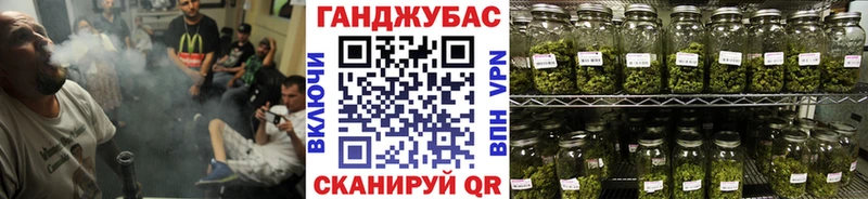 Шишки марихуана конопля Миллерово
